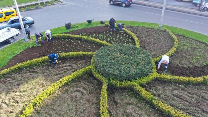 Kdz. Ereğli kış çiçeklerine kavuştu G2