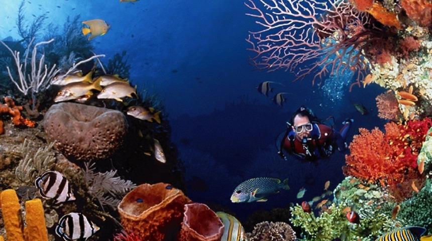 Sharm el Sheikh: B&uuml;y&uuml;l&uuml; D&uuml;nyanın Gizli Kapısı