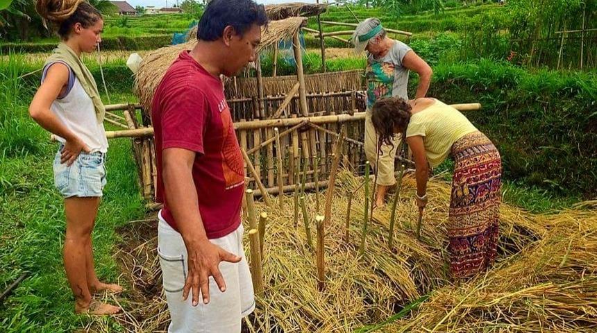 Gönüllü Projeler: Konaklama ve Yemek Masrafı Olmadan Dünyayı Gezmek