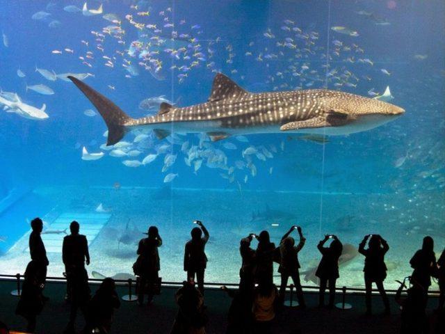 Dubai nin Dünyanın En Çılgın Şehri Olduğunu Gösteren 30 Fotoğraf 20