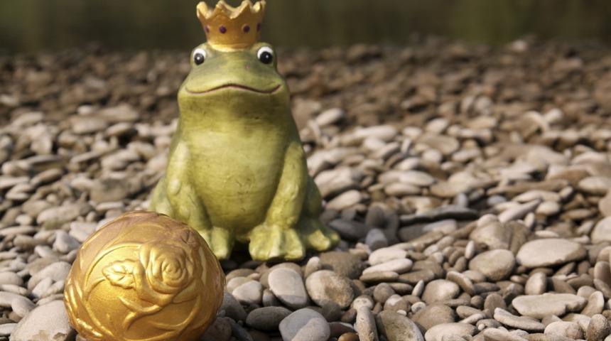 Kurbağa Prens Masalını Yanlış Biliyormuşuz