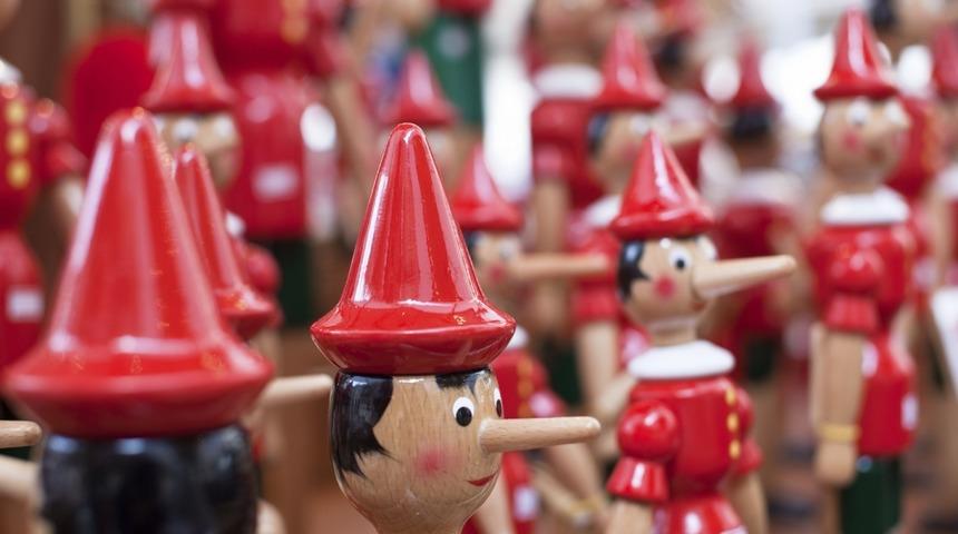 Neden Yalan S&ouml;yl&uuml;yoruz?