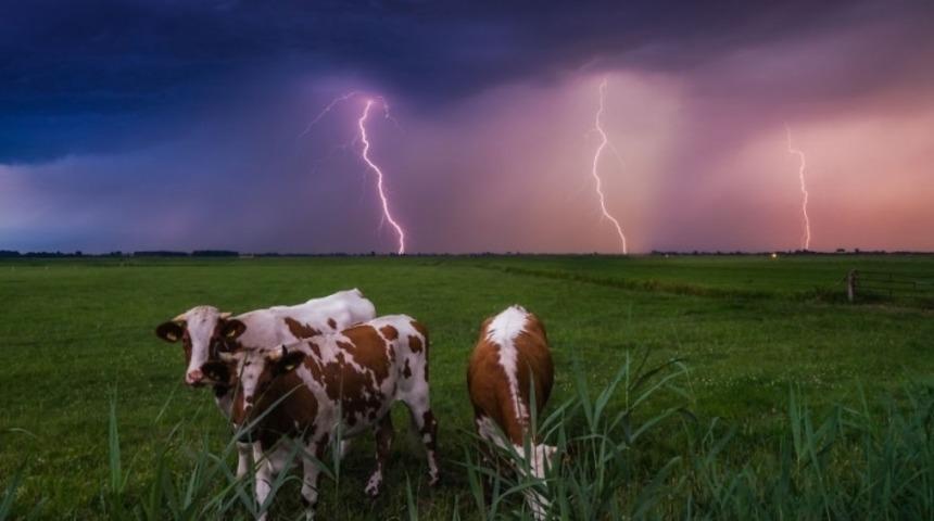 'Hollanda'yı, &Uuml;lkemi Ziyaret Etmeniz İ&ccedil;in 20 Neden'