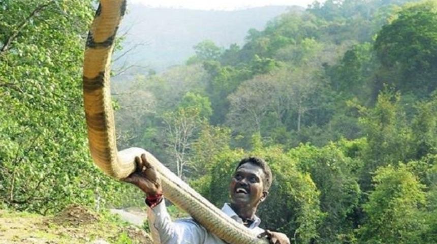 &lsquo;Yılan Adam&rsquo; Vava Suresh&rsquo;in Hikayesi