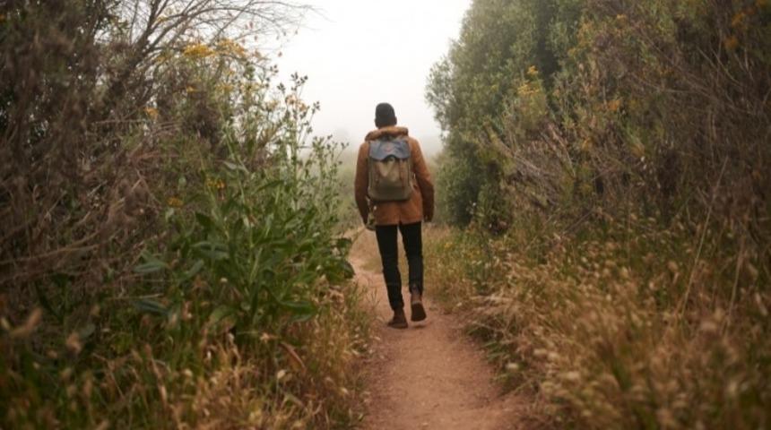 Doğa Y&uuml;r&uuml;y&uuml;ş&uuml;, Ruh ve Beyin Sağlığınızı da Koruyor