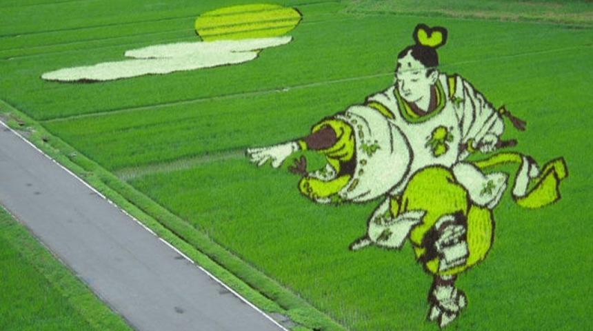 Bunlar Sıradan Pirin&ccedil; Taralaları, Ama Hasat Zamanı Ne Olduklarına Bir Bakın