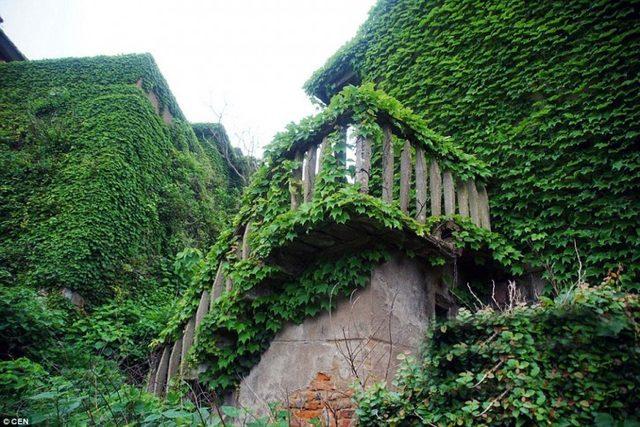 Doğa, Terk Edilmiş Bu köyü Terk Etmedi! 4