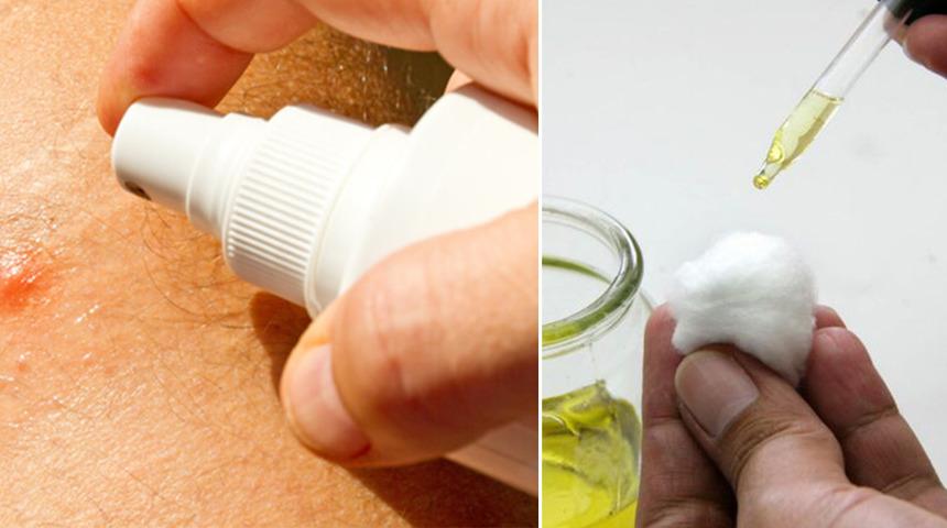 Bari Bu Yaz Rahat Edin: Sivrisinekleri Yok Eden Ev Yapımı 5 İlaç