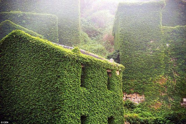 Doğa, Terk Edilmiş Bu köyü Terk Etmedi! 7