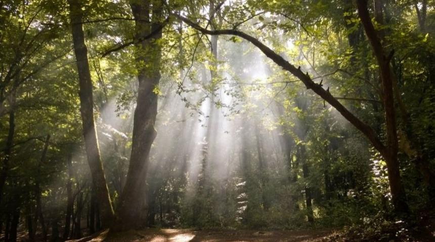 Sevgilinizle Doğa Yürüyüşü Yapmak İçin Keyifli Rotalar