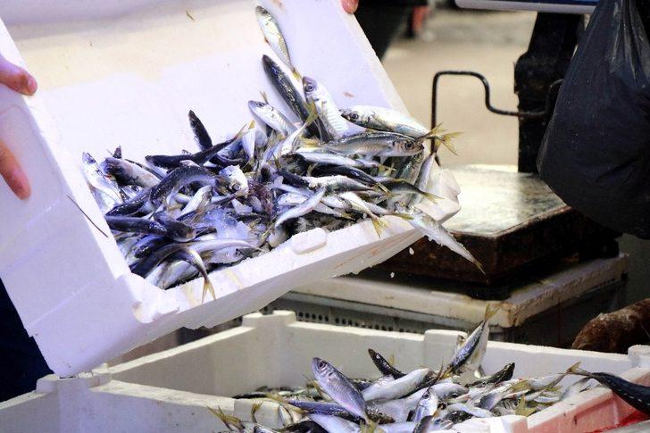 65 yaş üstü kısıtlaması balıkçıları vurdu G4