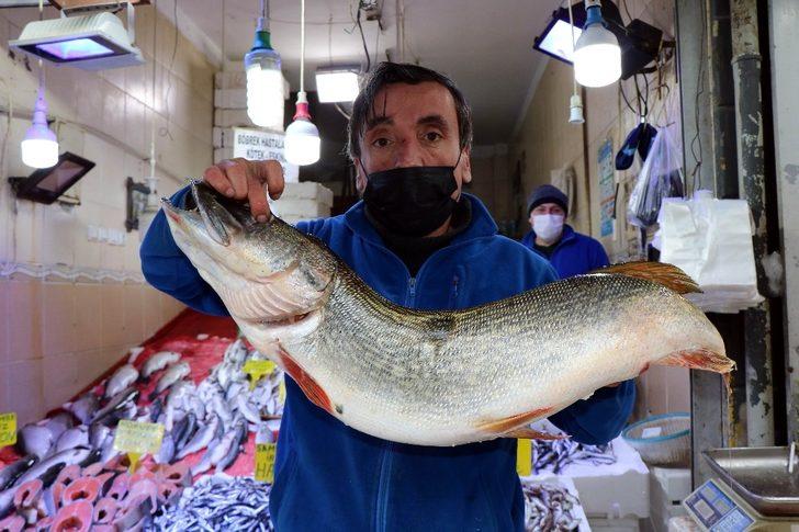 65 yaş üstü kısıtlaması balıkçıları vurdu G5