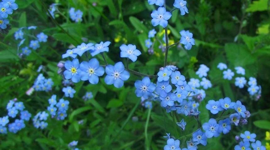 İsviçre’den 3 Bin Kat Daha Zenginiz