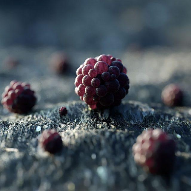 Şeker Görünümlü Kayalar ve Bitkilerle Dolu Yaratık Gezegen 2