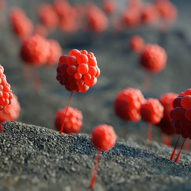 Şeker Görünümlü Kayalar ve Bitkilerle Dolu Yaratık Gezegen 5