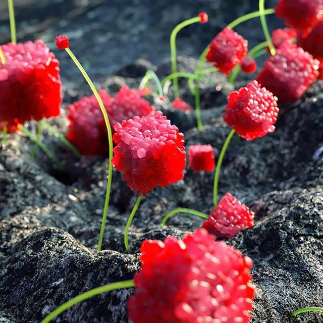 Şeker Görünümlü Kayalar ve Bitkilerle Dolu Yaratık Gezegen 6