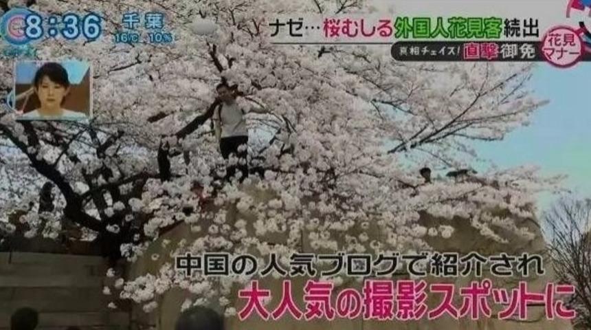 Japonya, Turistik Yerlerde &Ccedil;inlilerin Ayrı Yerlerde Durmasını İstiyor!