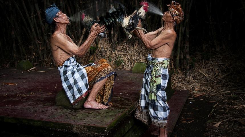 2016 Sony D&uuml;nya Fotoğraf &Ouml;d&uuml;lleri&rsquo;nde T&uuml;rkiye Ulusal &Ouml;d&uuml;l&uuml;&rsquo;n&uuml; Kazanan İsim Belli Oldu