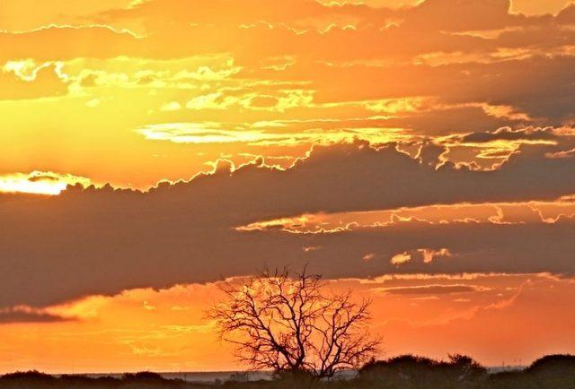 Afrikalı Kabilelerin Günlük Yaşamları 7