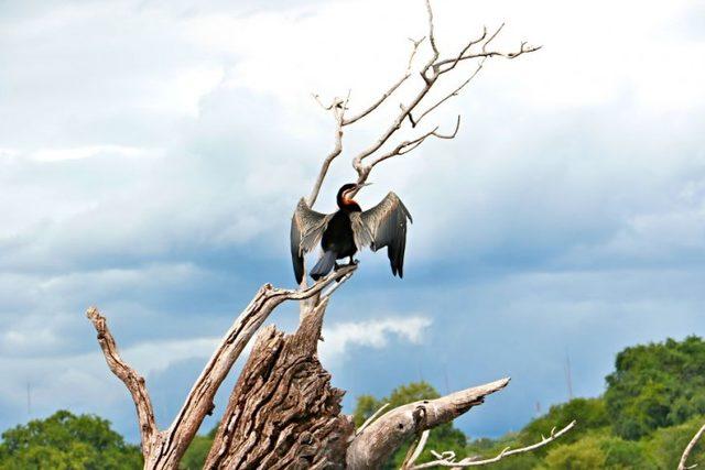 Afrikalı Kabilelerin Günlük Yaşamları 11