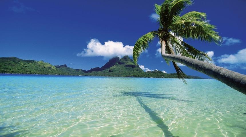 Airbnb'den Kiralık Ada!