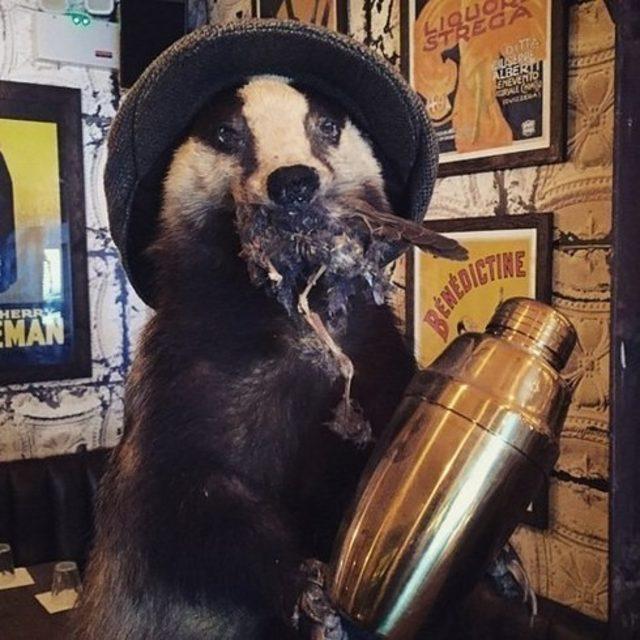 Mutlaka Görmeniz Gereken 21 Havalı Bar 21