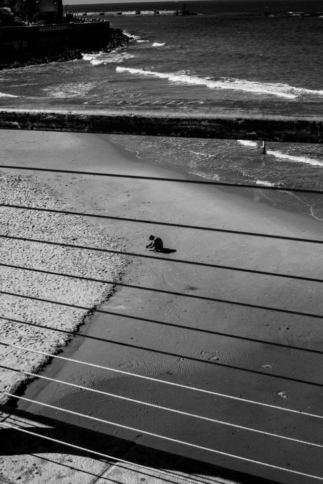 İsrail ve Filistin de Kutsal Topraklar daki Zıtlığı Yansıtan Fotoğraflar 23