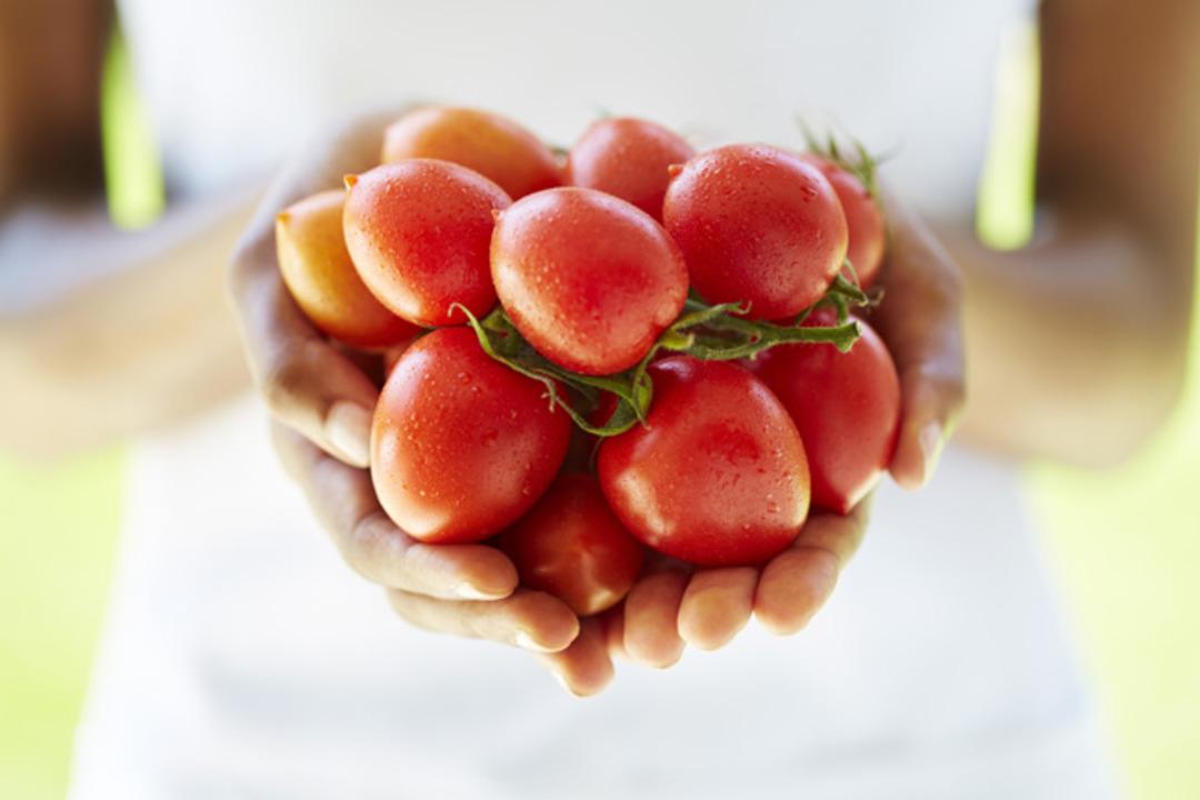 G&uuml;neş Yanığına Karşı Birebir 9 Mucizevi Yiyecek