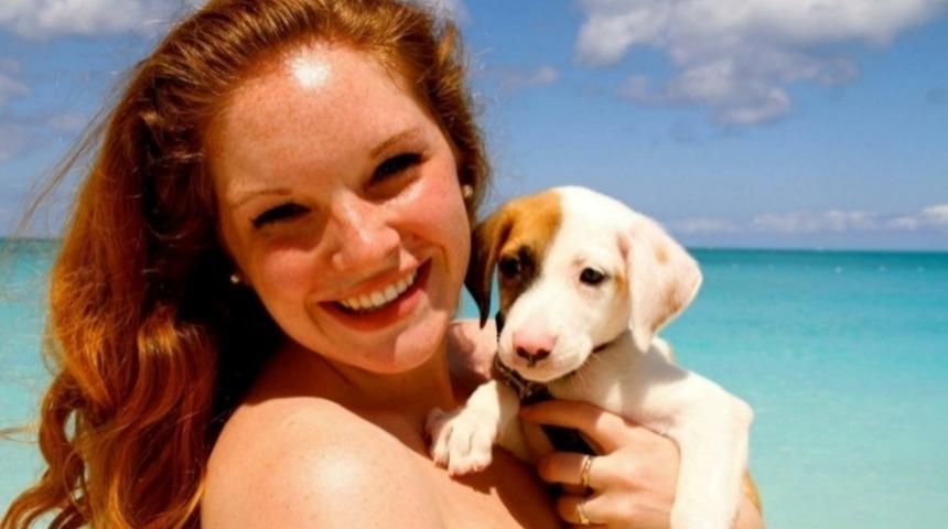 G&uuml;nboyu Yavru K&ouml;pekleri Sevebileceğiniz Cennet Gibi Bir Ada Var