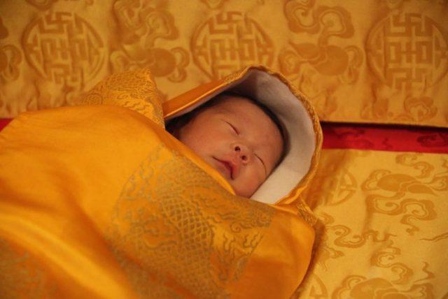 Butan Prensine Doğum Günü Hediyesi: 108.000 Ağaç 2