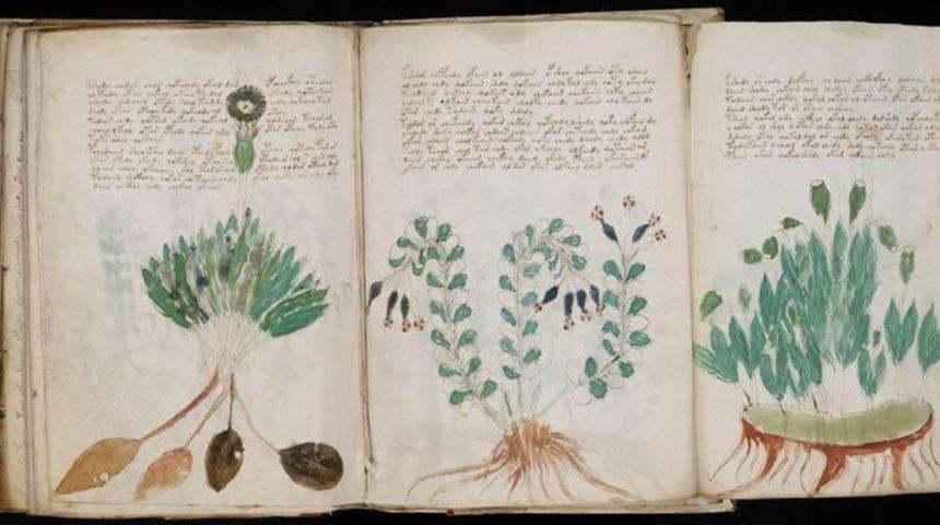 D&uuml;nya &Uuml;zerinde Bulunan, Gizemi Hala &Ccedil;&ouml;z&uuml;lemeyen 12 Şey