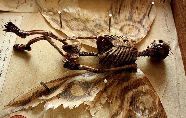 Londra da Eski Bir Evin Bahçesinde Garip İskeletler Bulundu 2