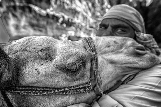 Dünyanın Yedi Harikası ndan Bir Tanesi; Petra Antik Kenti 8