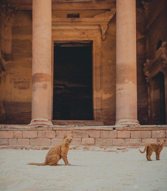 Dünyanın Yedi Harikası ndan Bir Tanesi; Petra Antik Kenti 12