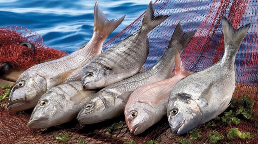 Lüfer ve uskumru mevsimi... 2020 Aralık ayında hangi balık yenir? İşte aylara göre yenilecek balık türleri!