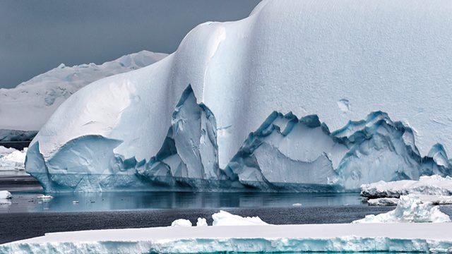 Antartika yeşerirken