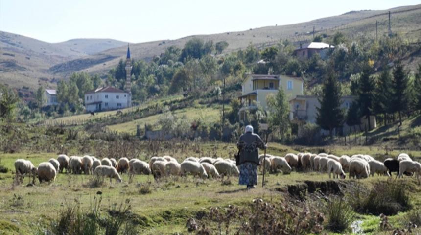 Karadeniz yaylalarından dönüş vakti