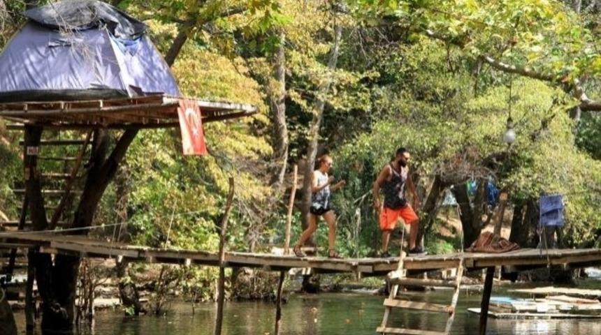 Buraya gelen dalların &uuml;zerinde uyuyor!