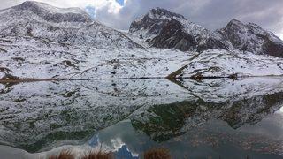 Türkiye’deki safari tutkunlarının gözdesi