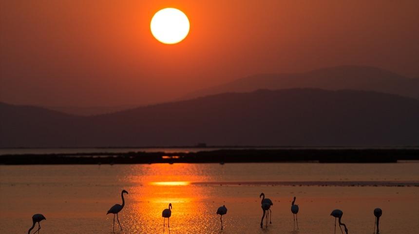 Flamingolarla enfes g&uuml;n batımı