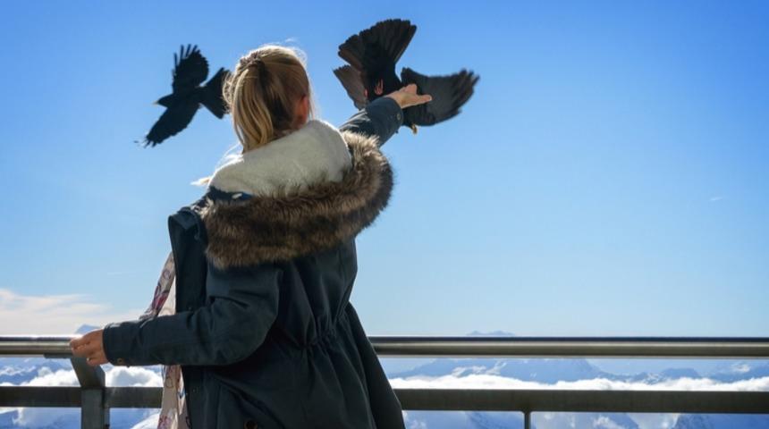 Kuşları görmek için Türkiye'de buluşacaklar!