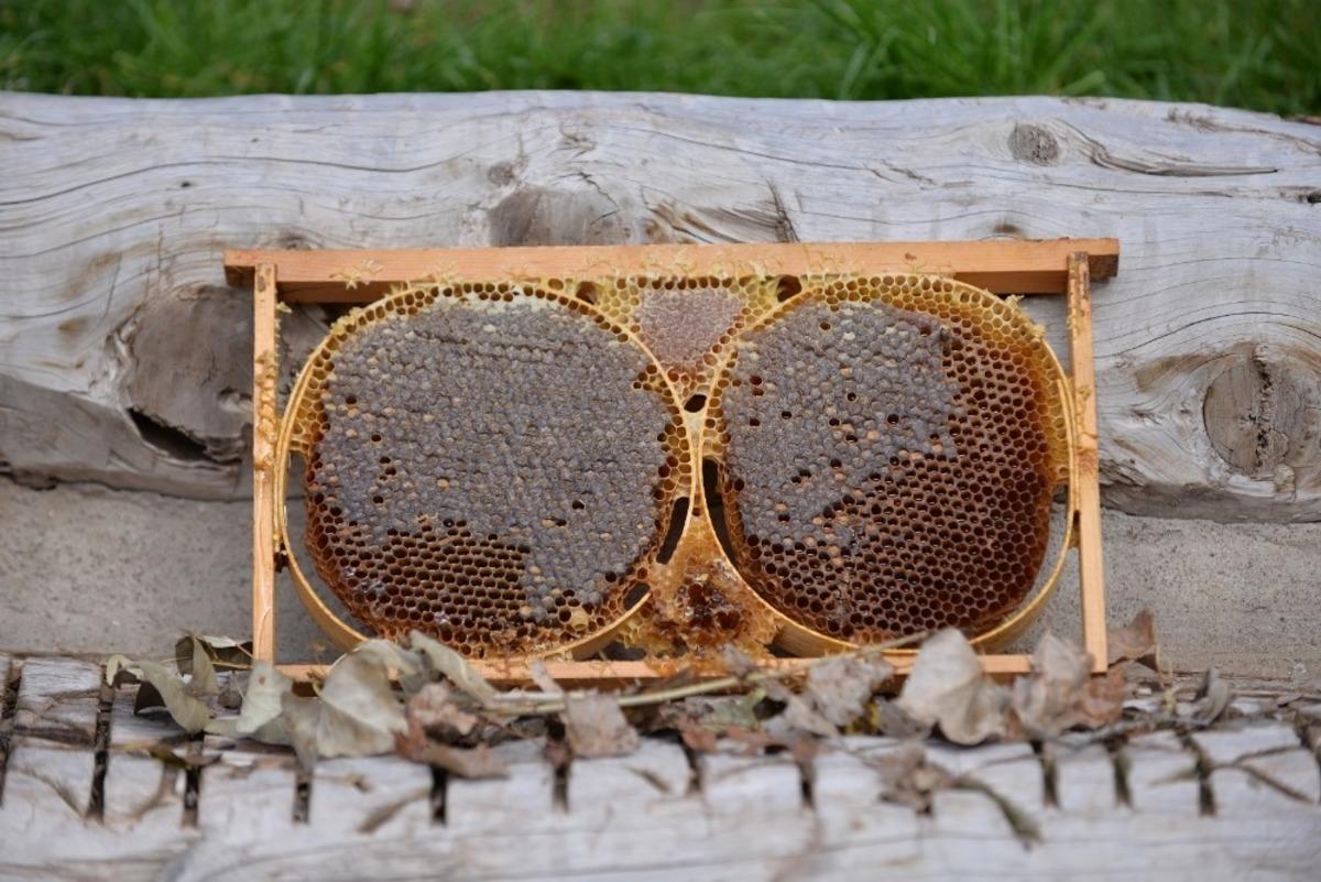 &Ouml;zvatan &ccedil;i&ccedil;ek balı tescillendi