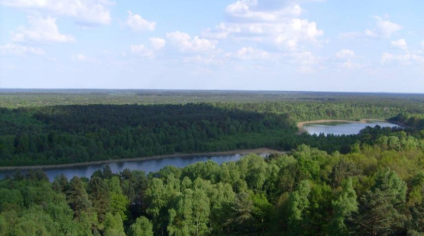Müritz Ulusal Parkı