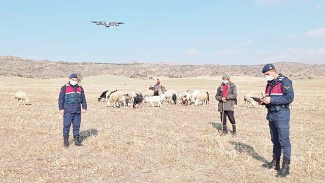30 küçükbaş hayvan ’drone’ yardımıyla bulundu