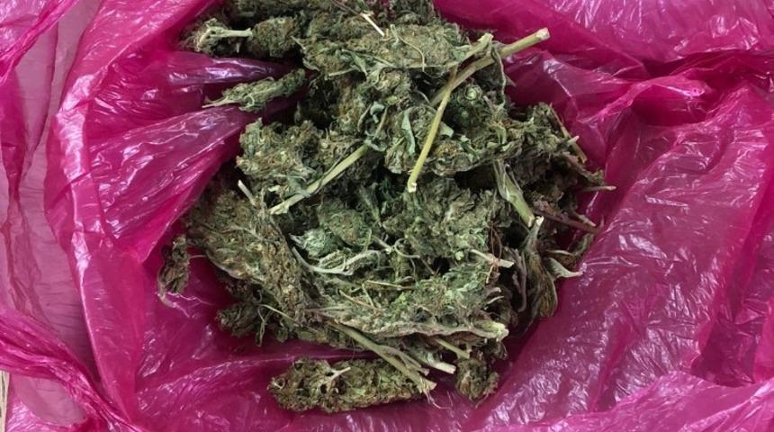 Narkotik k&ouml;peği tepki verdi, yolcudan uyuşturucu ele ge&ccedil;irildi