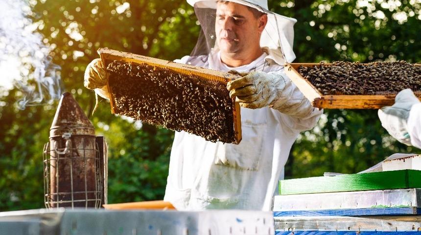 TAB&rsquo;ın g&uuml;ndemi, &rsquo;s&ouml;zleşmeli arıcılık&rsquo; oldu