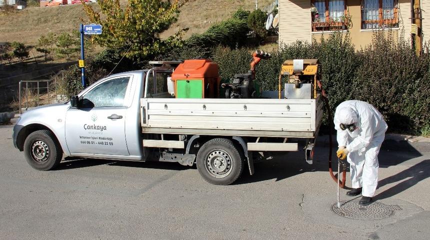 Çankaya’da mazgal, rögar ve bataklık alanlar ilaçlanıyor