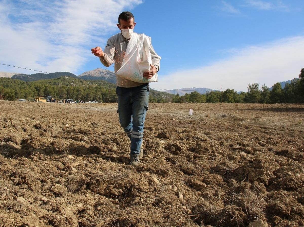 G&uuml;ndoğmuşlu &ccedil;ift&ccedil;iler ekime başladı