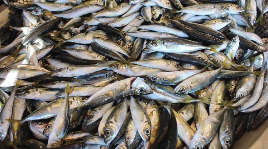 Kılçığı fazla diye yenmiyor ama salgın hastalıklara şifa oluyor