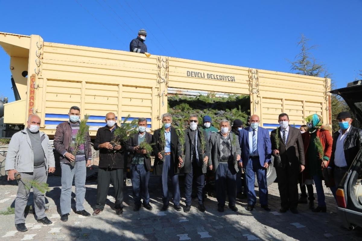 Develi&rsquo;de 50 bin fidan dağıtıldı